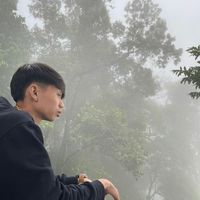 jo.tlb11