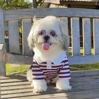 original sound - Brownie