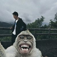 baangdaaa