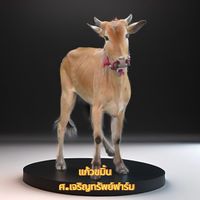 scharoensapfarmchaam