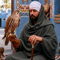 الصوت الأصلي