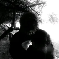 original sound - zin.ru4