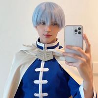dvlsaga