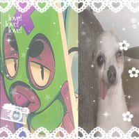 maribrawl._