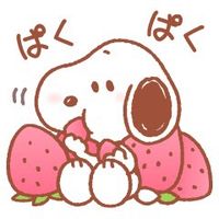 x_llrq4