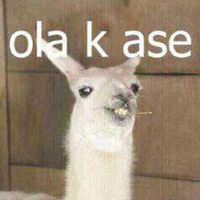 que.haces.aqui