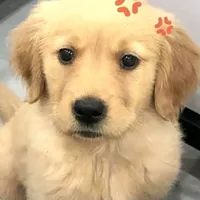 original sound - forevyone_.2