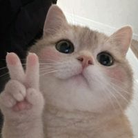 suara asli - Dewinta's Mamio