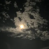 original sound - _mall281