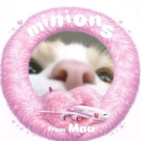 オリジナル楽曲 - minions🐇🪼🦋