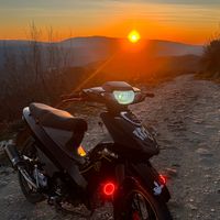 denis_678