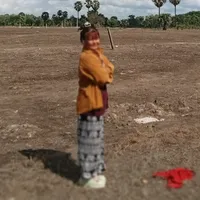 original sound - nan50503