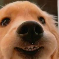 _pjxznn