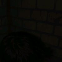 suara asli - Will - D ♣