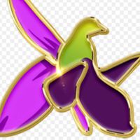 sehidler019