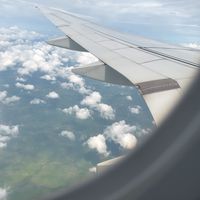 andex__