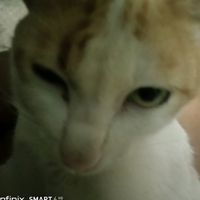 .gmm158
