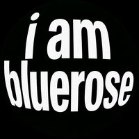 ibluerose.k