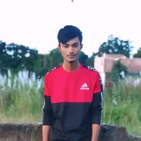 original sound - mdlimon96301