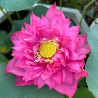 nhạc nền - Để gió cuốn đi