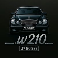 __.w210.__