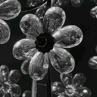 beautiful_lier18