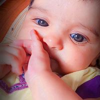 janat.fatma47