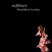 original sound - userr399699