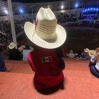 fer.pastor2015martinez0