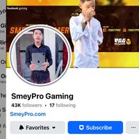 smeypro.com