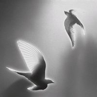 suara asli - HINFEA🕊️