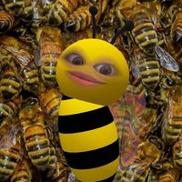 pchxpon