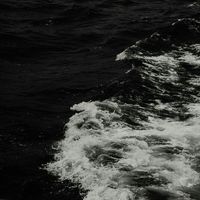 sahi_047