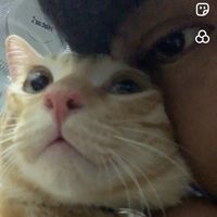เสียงต้นฉบับ - เทพซ่า008