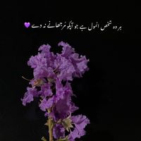 m_j_9_
