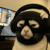 suara asli - Weird Fishes