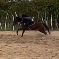 camilly02038