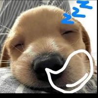 nhạc nền - xàm l nhất đức trọng