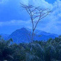 nan_4633