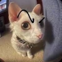 dyiwfazw0q25