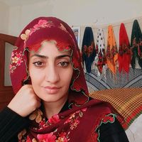 62_ulas_23