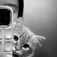 เสียงต้นฉบับ - KWA_N01🤍🌷