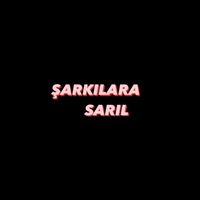 sarkilarasaril