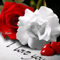 jannat08643