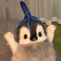 siknzuuuuu