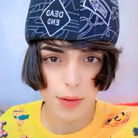 user88dgd