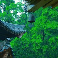 nhạc nền - .....