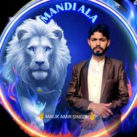 malik_aamir_dil_jani_085