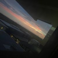 nickerralane_x99