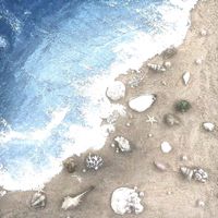 suara asli - ★Florencya`